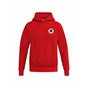 DSC Verein Hoody Kinder